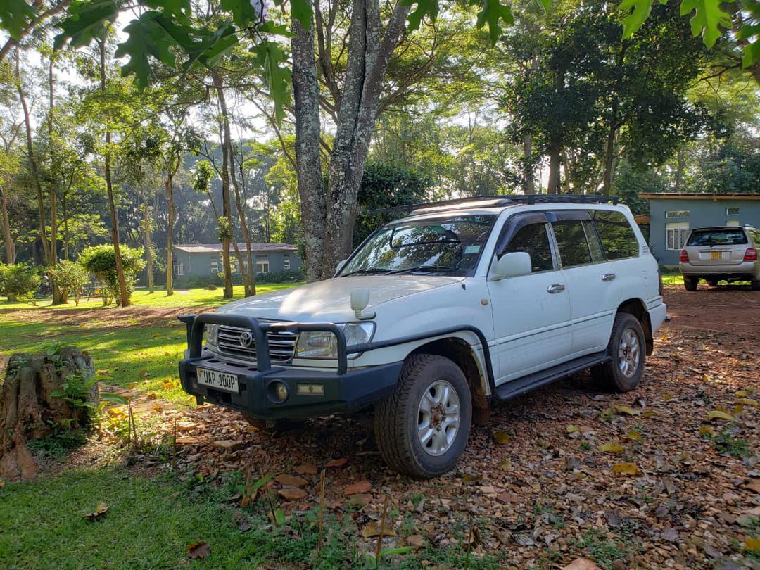 4x4 Toyota Land Cruiser VX/V8 - Self Drive Car Rental Uganda